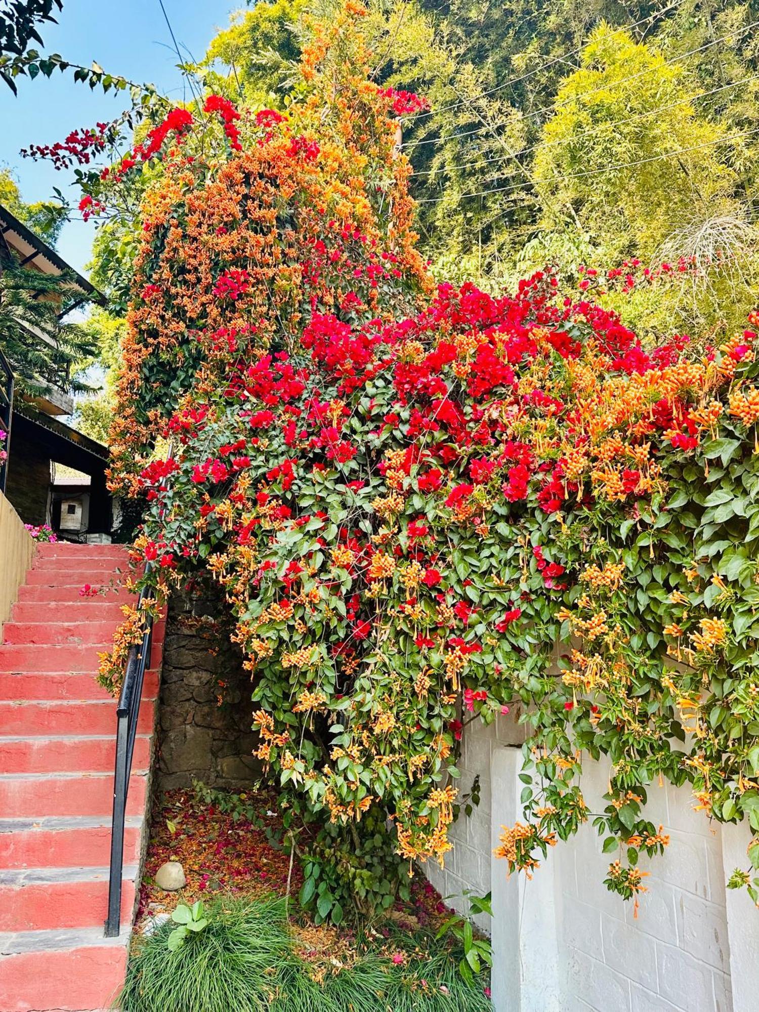 Homeland Forest Villa Pokhara Exterior foto