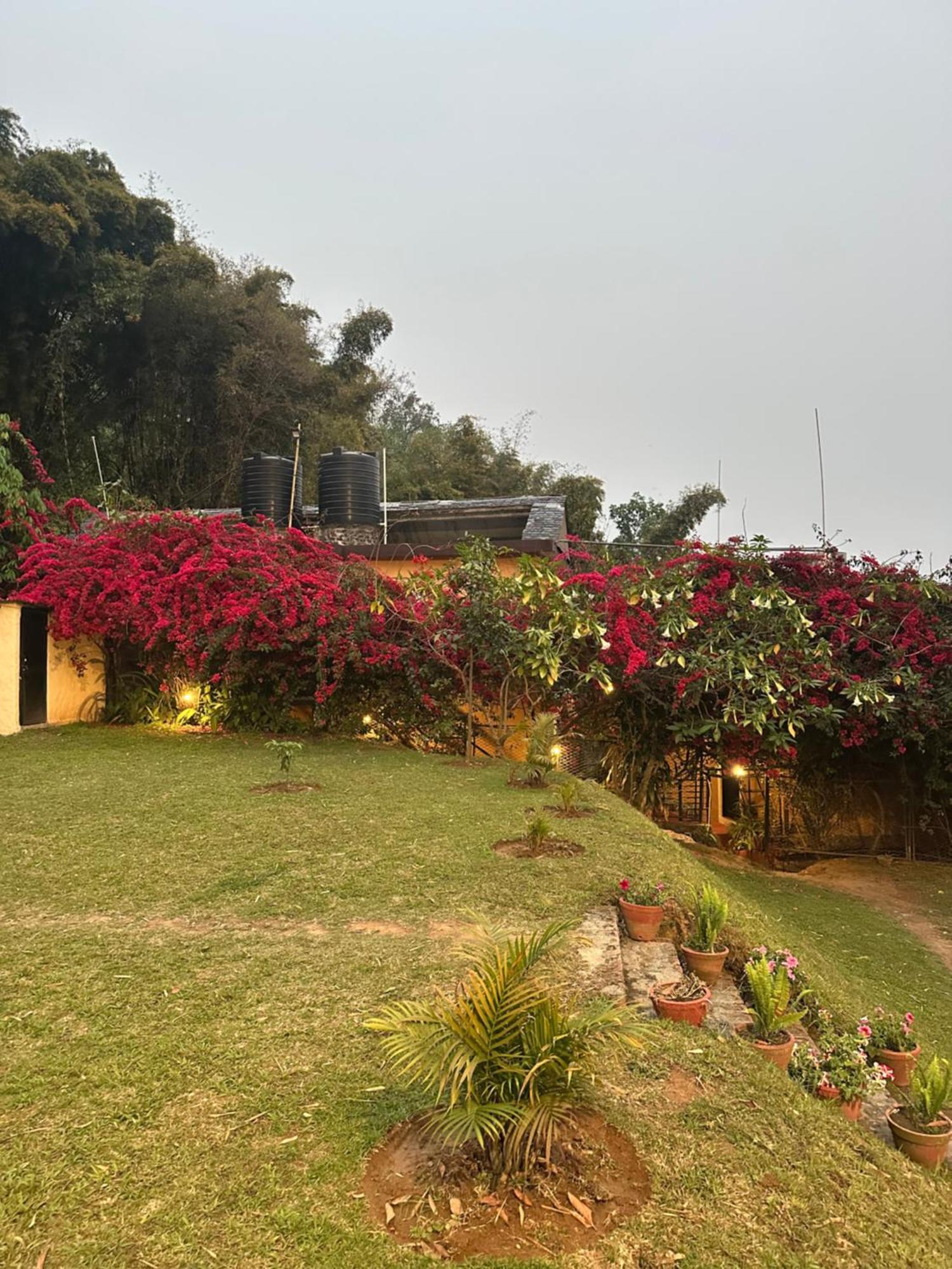 Homeland Forest Villa Pokhara Exterior foto
